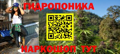 сатива Ачхой-Мартан