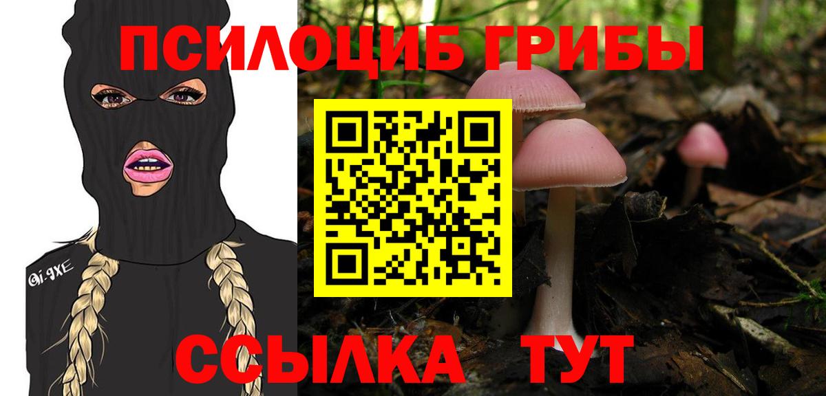 Псилоцибиновые грибы MAGIC MUSHROOMS  Галлюциногенные грибы мицелий  Шатура  Вход с VPN 